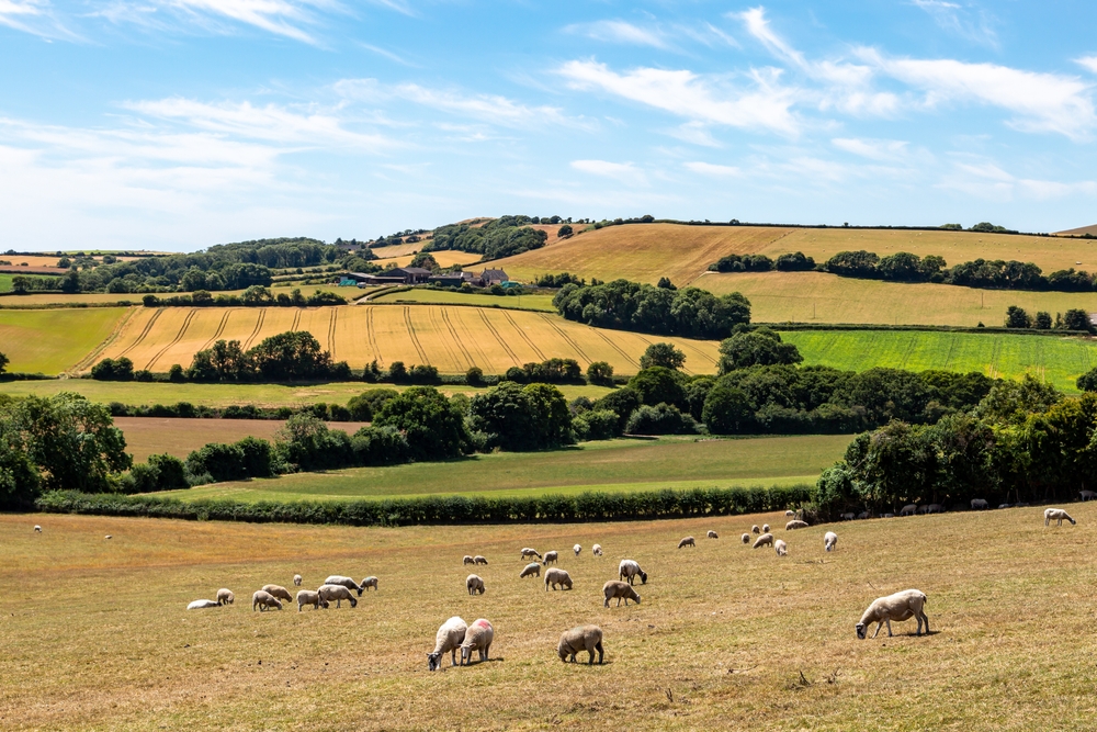 Business and farm asset shareholders - inheritance tax relief cap to rise to £2.5m