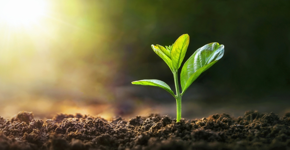 IFS looks forward to the Spring Forecast on 26th March